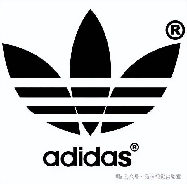 球十大运动品牌盘点下！球王会首页屹立不倒的全(图9)